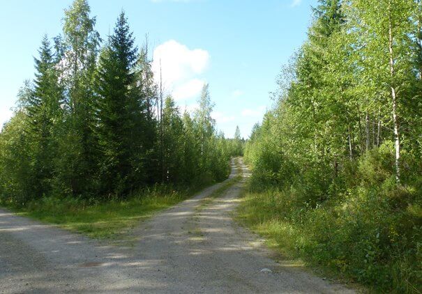 Road to retreat site in Sweden