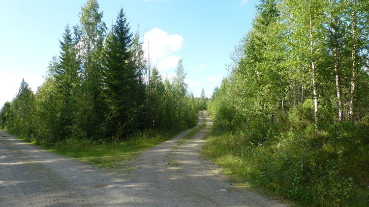 Road to retreat site in Sweden