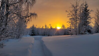 Sunset wintertime Sweden